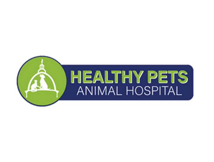 Looking for a veterinarian for your canine or small animal friend?